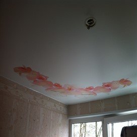 Натяжной потолок с фотопечатью на кухне